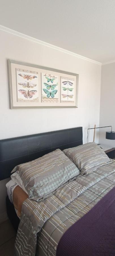 Apartamento Departamento Marina Sol Iii